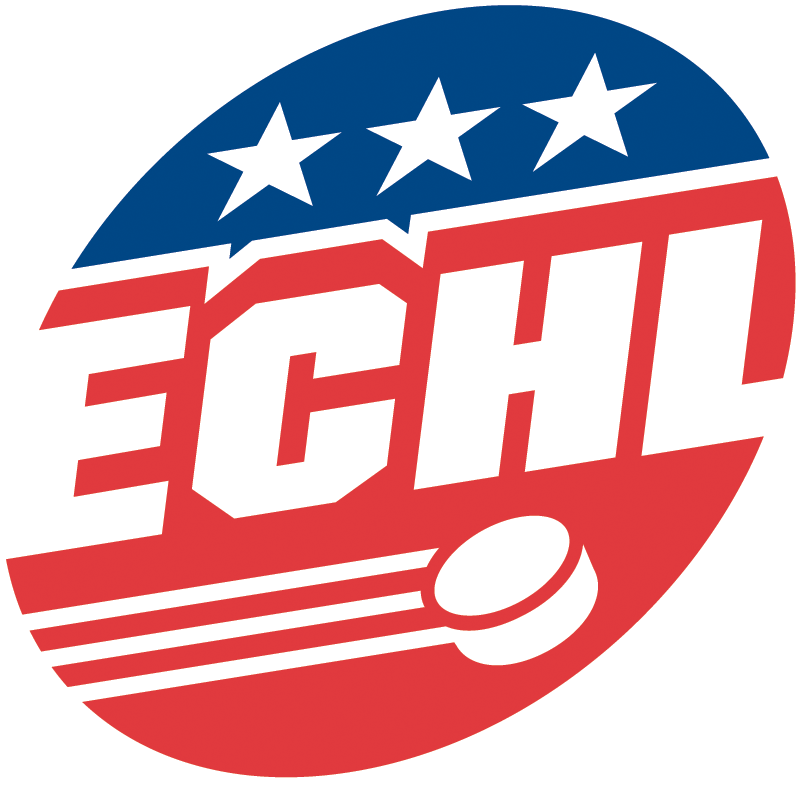 ECHL 2016-Pres Primary Logo iron on heat transfer